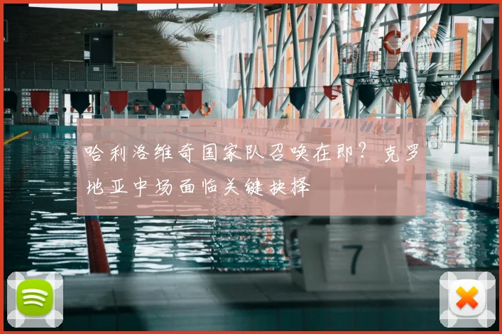 哈利洛维奇国家队召唤在即?克罗地亚中场面临关键抉择