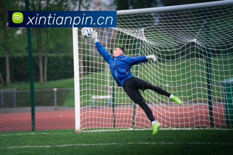 pg官网地址发展历程